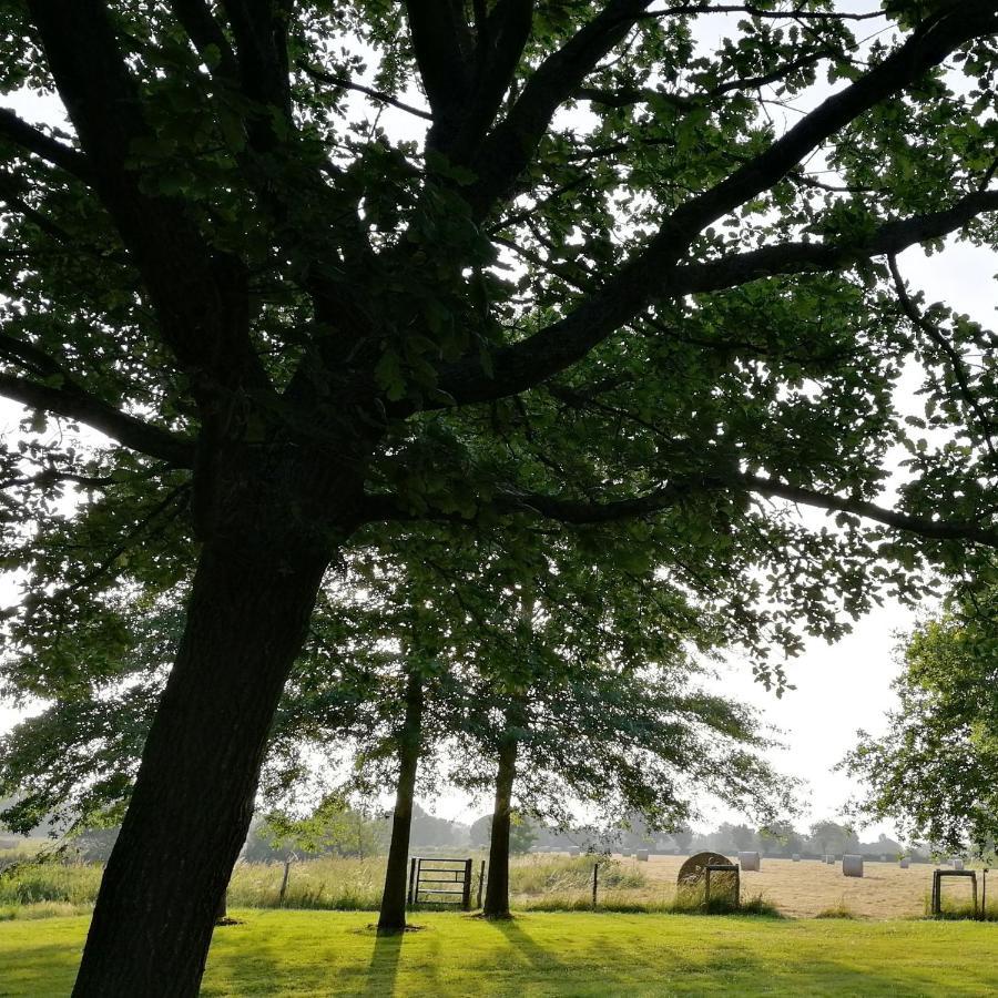 le gîte du fou logement 8 pers 13mn puy du fou Saint-Amand-sur-Sevre Extérieur photo