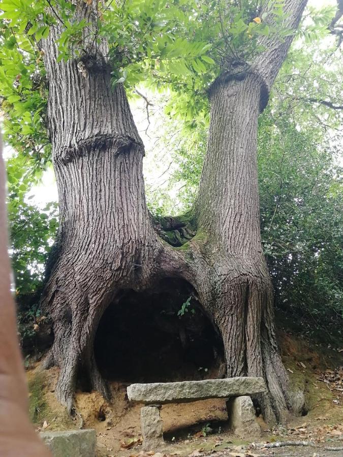 le gîte du fou logement 8 pers 13mn puy du fou Saint-Amand-sur-Sevre Extérieur photo