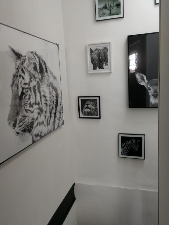 le gîte du fou logement 8 pers 13mn puy du fou Saint-Amand-sur-Sevre Extérieur photo